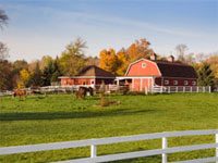 barn pasture