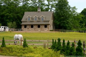Question of the Week: Starting a Horse Boarding Business