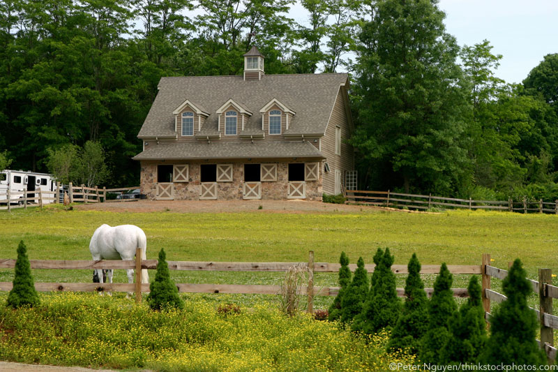 Small horse barn