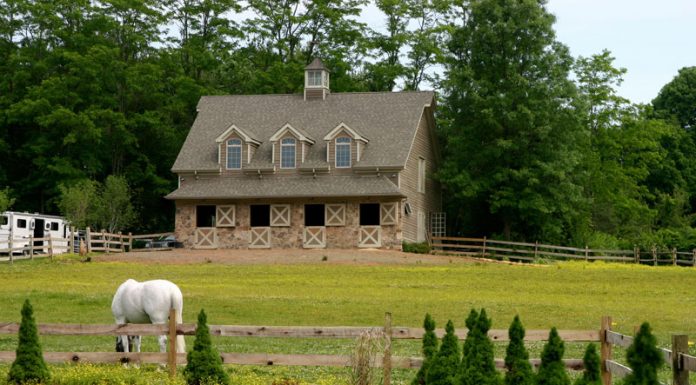 Horse grazing in a pasture in front of a small barn