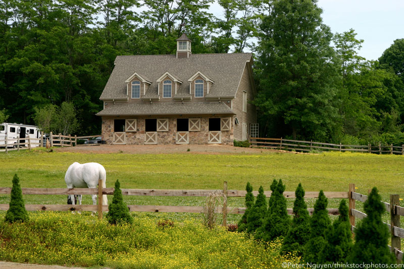 Horse grazing in a pasture in front of a small barn