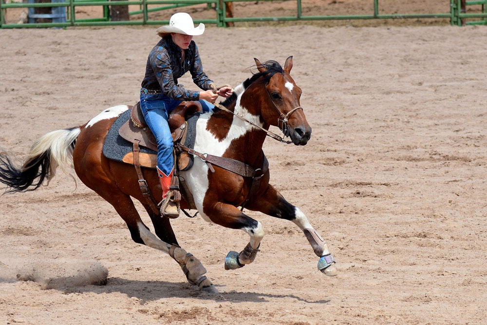 Galloping horse