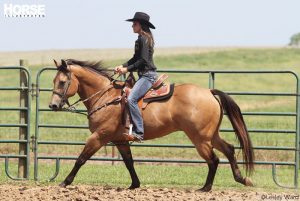 Barrel Racing Troubleshooter