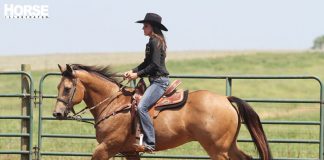 Barrel Racing Troubleshooter barrels practice