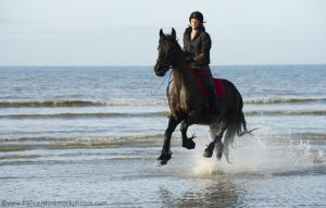 Ride Your Horse on the Beach