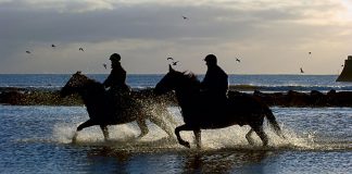 Two horse-and-rider pairs riding in the ocean