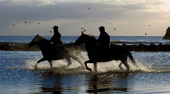 Two horse-and-rider pairs riding in the ocean