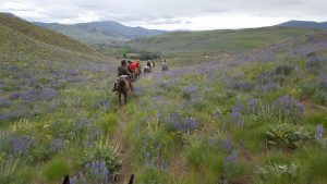 Gallery: Your Favorite Trails