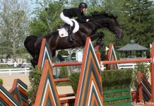 beezie madden cortes