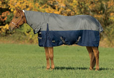 Field Guide to Horse Blanket Fit blanket fit