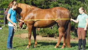 Break out the Blankets!