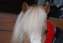 Therapy Horses Have a Snow Day blizzard gentle carousel