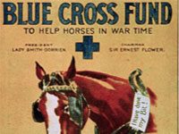 blue cross war horse