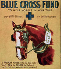 blue cross war horse