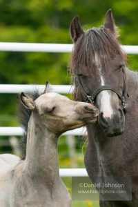 “I Was Born For This”