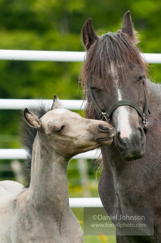 “I Was Born For This”