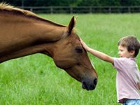 boy with horse