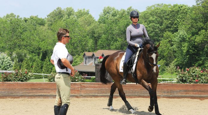 boyd martin silva martin