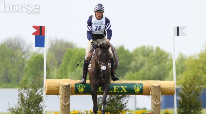 boyd martin the hollow