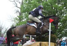 boyd martin steady eddie