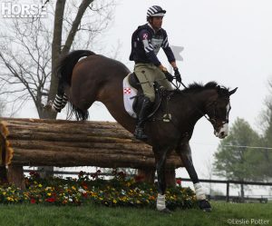 Taking Care of Your Horse’s Tendons