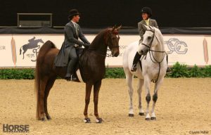 The Near Side: Rider Versatility at the Alltech National Horse Show