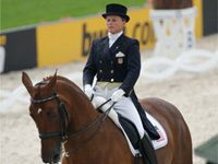 Dressage champion Brentina recovering from colic surgery brentina