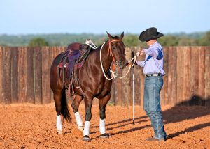 Video: Bridle Bending