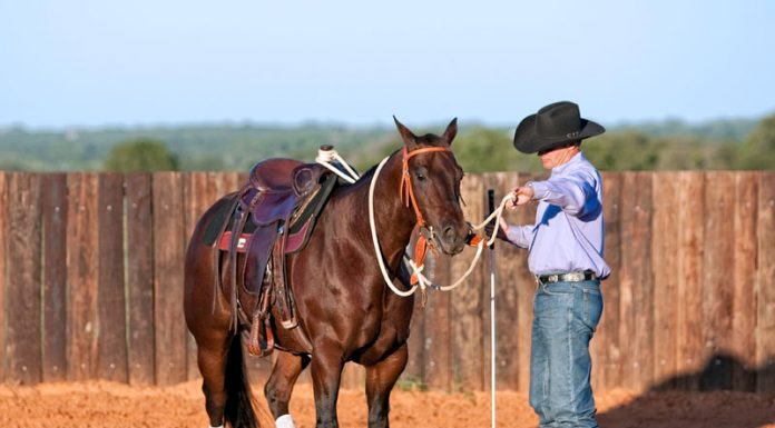 bridle bending