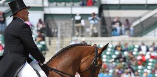 buck mardeamor dressage