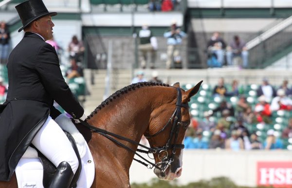 buck mardeamor dressage