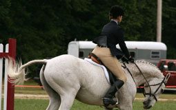 Rider Insider: Dealing with a Tough Ride bucking hunter