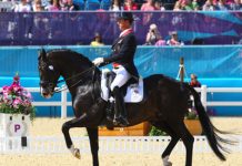 British riders are in first and second position after day one of Olympic dressage competition hester uthopia