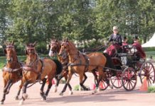 Chester Weber wins Alltech FEI World Equestrian Games combined driving test event c weber weg test