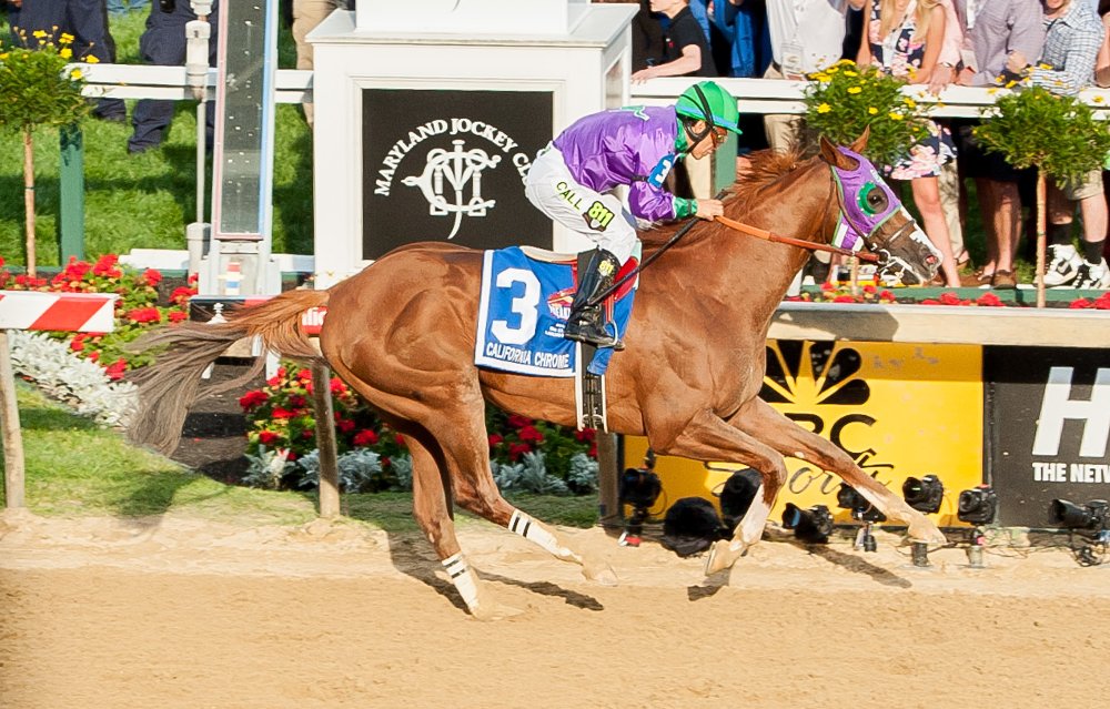 California Chrome Named Thoroughbred Racing’s Horse of the Year