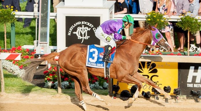 california chrome flickr