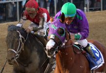 California Chrome Returns to the Races California Chrome