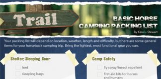 Packing for Your Horse Camping Trip camping checklist