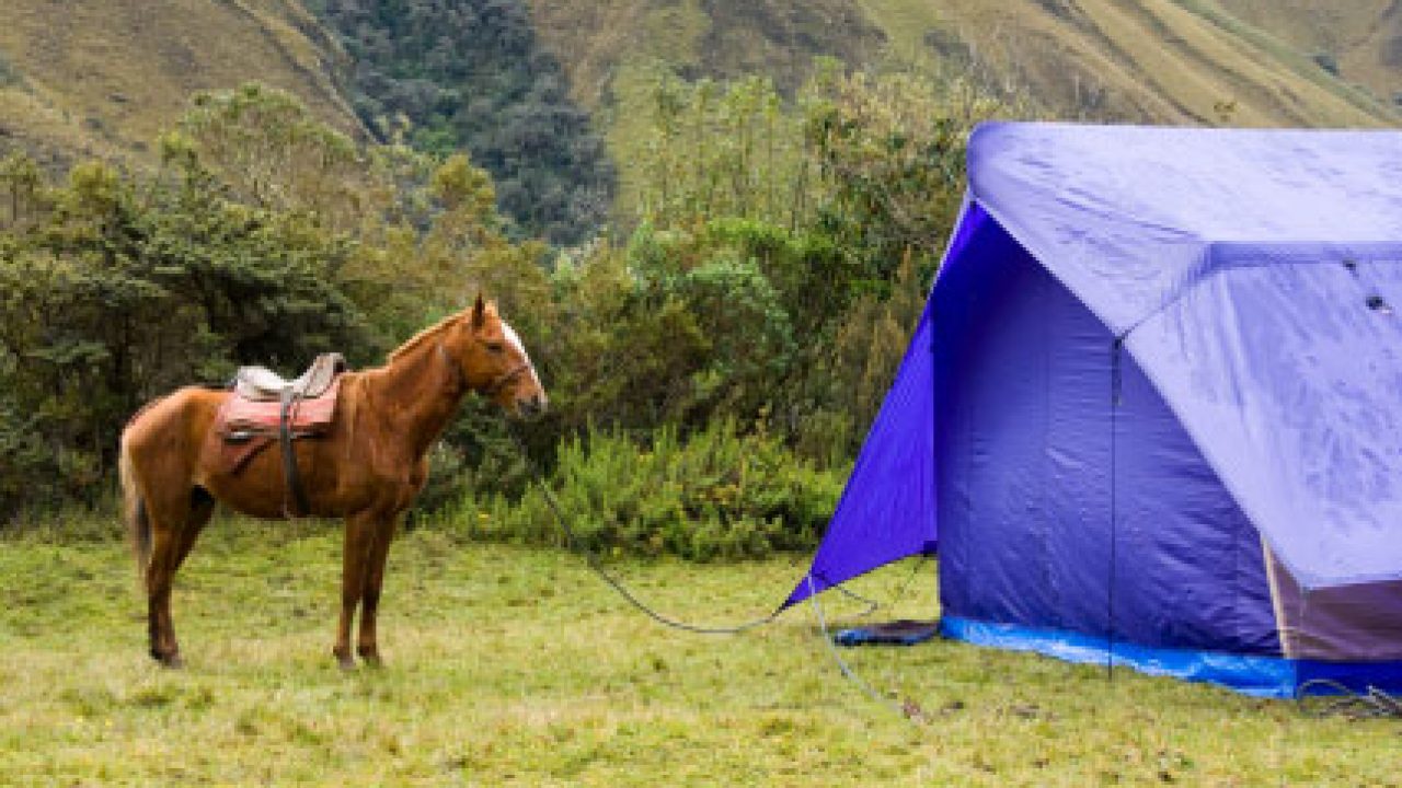 Gallamping 101 The Ultimate Camping With Horses Checklist vlr.eng.br