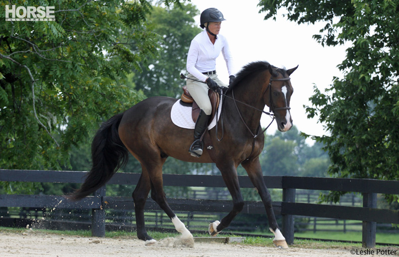 Improve Your Horse’s Fitness with Trot-to-Canter Transitions