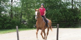 Cantering over a ground pole