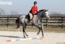 horse and rider cantering over a ground pole