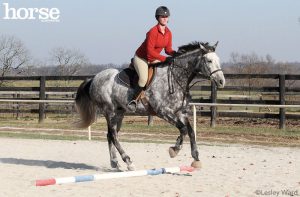 How Do I Find the Right Distance to the Jump?