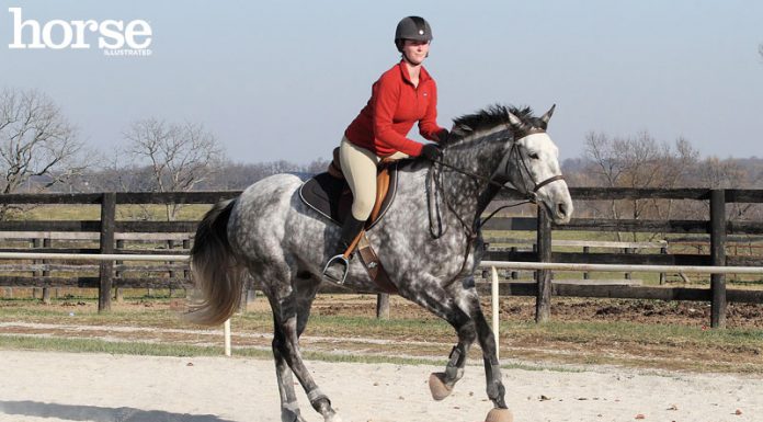 horse and rider cantering over a ground pole