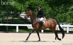 Horsemanship How-to: Sit the Canter Comfortably