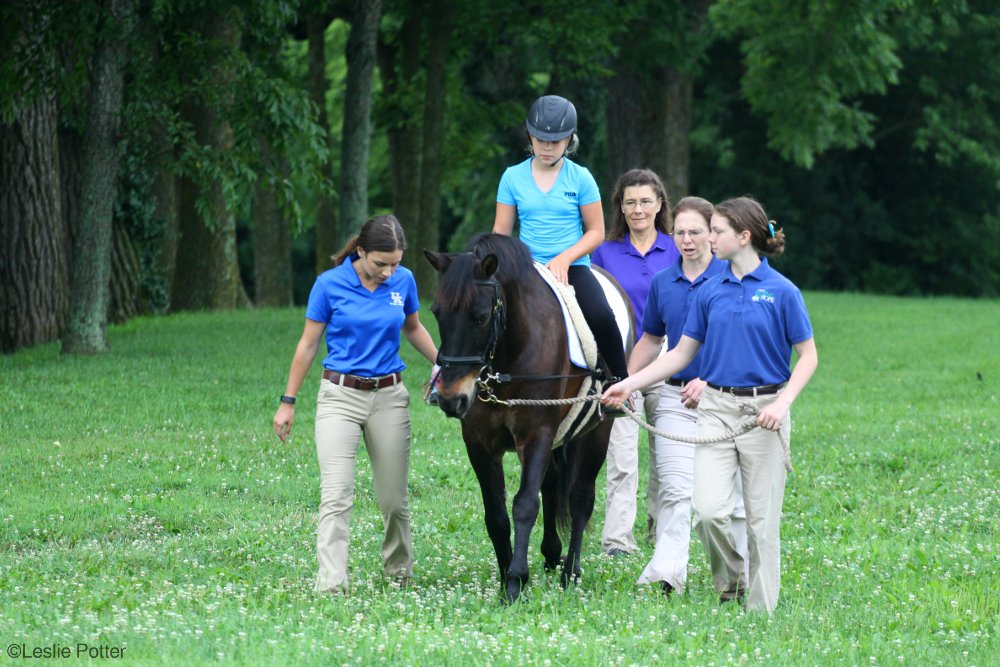 Careers in the Horse Industry: Physical Therapist Specializing in Hippotherapy