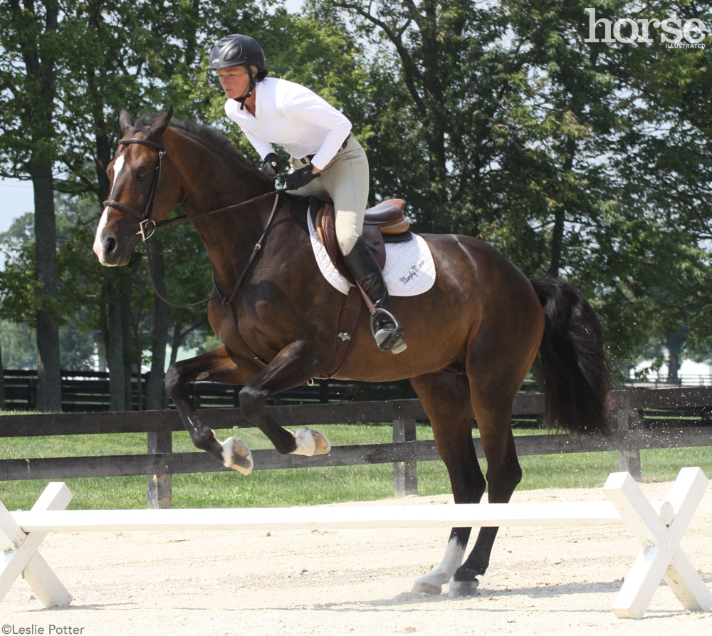 Cavalletti for Dressage and Jumping