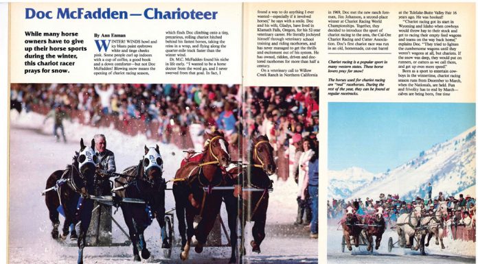 chariot horse racing