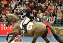 Research highlights the dangers of concussions in young athletes charlotte dujardin olympia