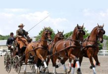 An American Success Story chester weber